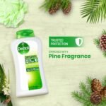 Dettol Antibacterial Body Wash Loofah Free Shower Gel Skincare Rose & Sakura Blossom with 8 Hour Lasting Moisture 250ml - Image 4