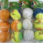 Golden Wing Tennis Ball Wholesale Pack ( 36pcs)