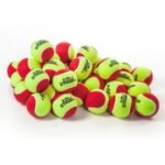 Golden Wing Tennis Ball Wholesale pack (1ctn/60pcs)