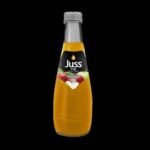 JUSS 100% APPLE JUICE -200 ML