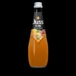 JUSS 100% MIXED FRUIT JUICE-200 ML