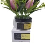 Cosrx Advanced Snail 96 Mucin Power Essence - 100ml