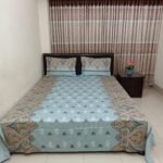 Luxury Twill Cotton Bedsheet – King Size – 3Pecs – Daman Blueash