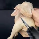 Electric Handheld Chicken or Duck Feather Plucker - Image 2