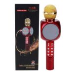 WS1816 Wireless Bluetooth Karaoke Speaker