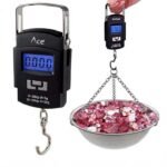 Digital weight scale