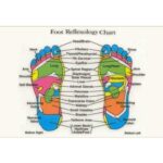 Acupuncture foot massage - Image 3