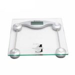 Digital personal weight scale