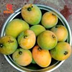 10 কেজি গোবিন্দভোগ আম (ফ্রি ডেলিভারি ) - Image 4