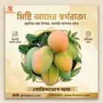 10 কেজি গোবিন্দভোগ আম (ফ্রি ডেলিভারি ) - Image 3